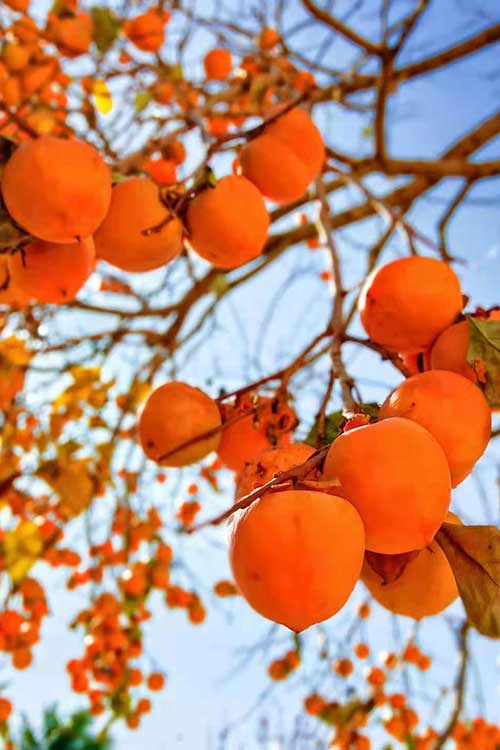 1638430729203314.jpg 11.jpg